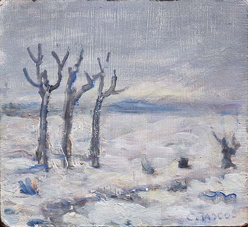 Paesaggio con neve e alberi